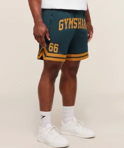 Campus Mesh Shorts