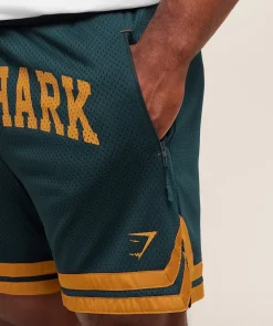 Campus Mesh Shorts