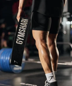 Lever Lifting Belt