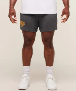 Lifting Barbell Mesh 5" Short