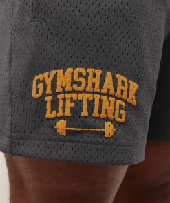 Lifting Barbell Mesh 5