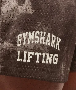 Lifting Mesh 5