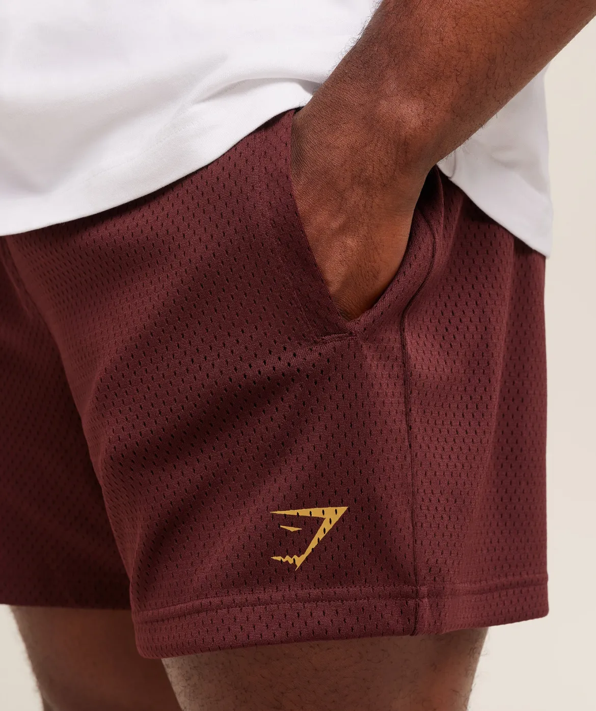 Lifting Mesh 5" Shorts