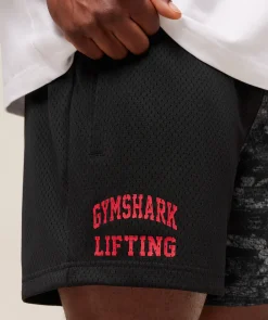 Lifting Mesh 5