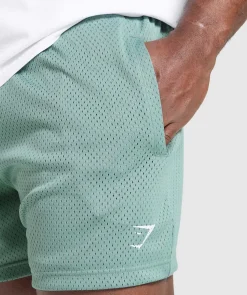 Lifting Mesh 5